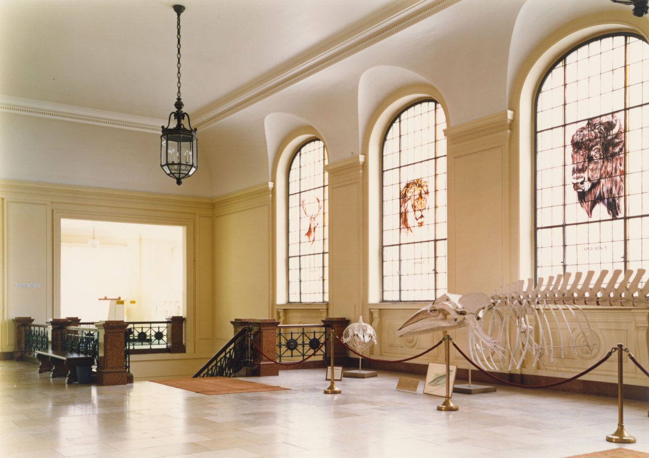 This picture shows the following artwork: Candida Höfer. Museum A. Koenig Bonn. 1985.
