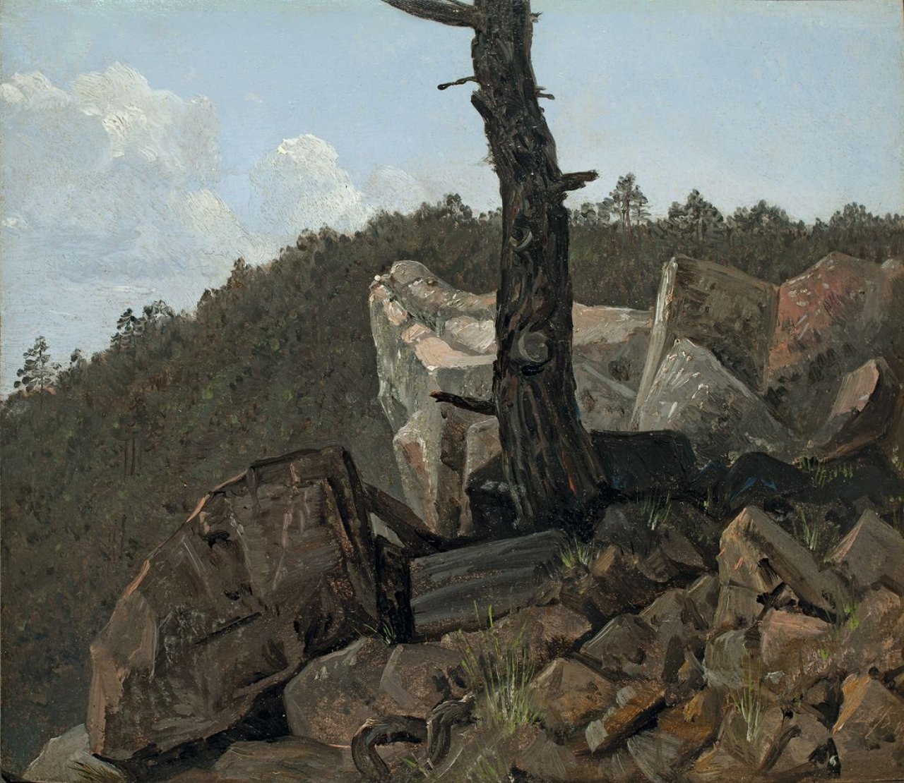 This picture shows the following artwork: Carl Gustav Carus. Baum über Steinen („Landschaft aus dem sächsischen Mittelgebirge“). 1820/30s.