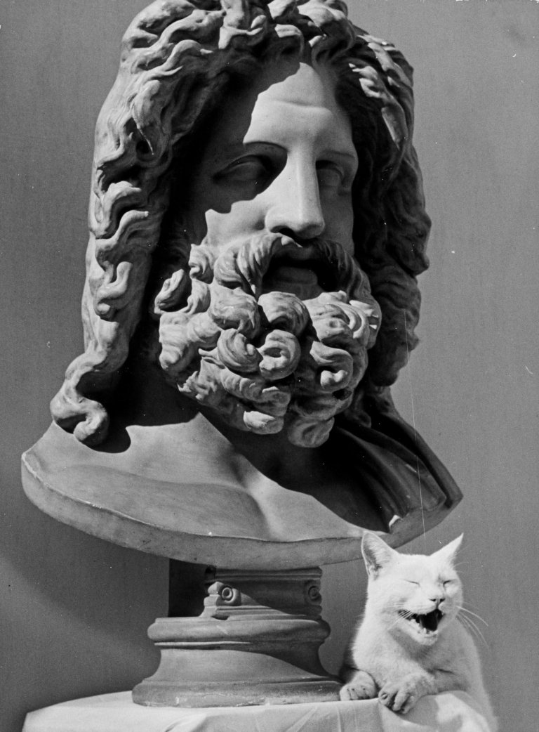 Auf diesem Bild ist das folgende Kunstwerk zu sehen: Herbert List. Jupiter und die Katze, Rom. 1949.