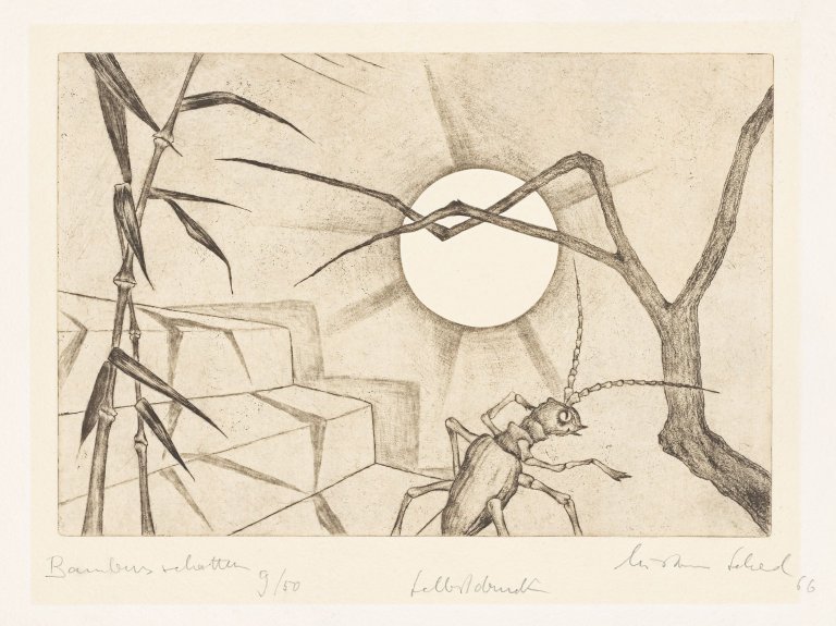 Auf diesem Bild ist das folgende Kunstwerk zu sehen: Christian Schad. „Bambusschatten“. 1966.
