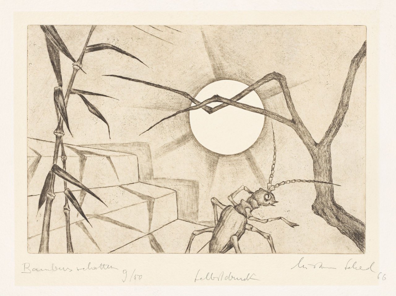 Auf diesem Bild ist das folgende Kunstwerk zu sehen: Christian Schad. „Bambusschatten“. 1966.