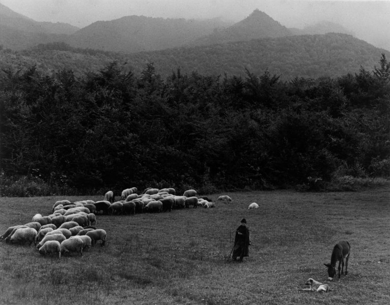 Auf diesem Bild ist das folgende Kunstwerk zu sehen: Paul Strand. Shepherd + Flock, Valley of the Sadul, Romania. 1967.