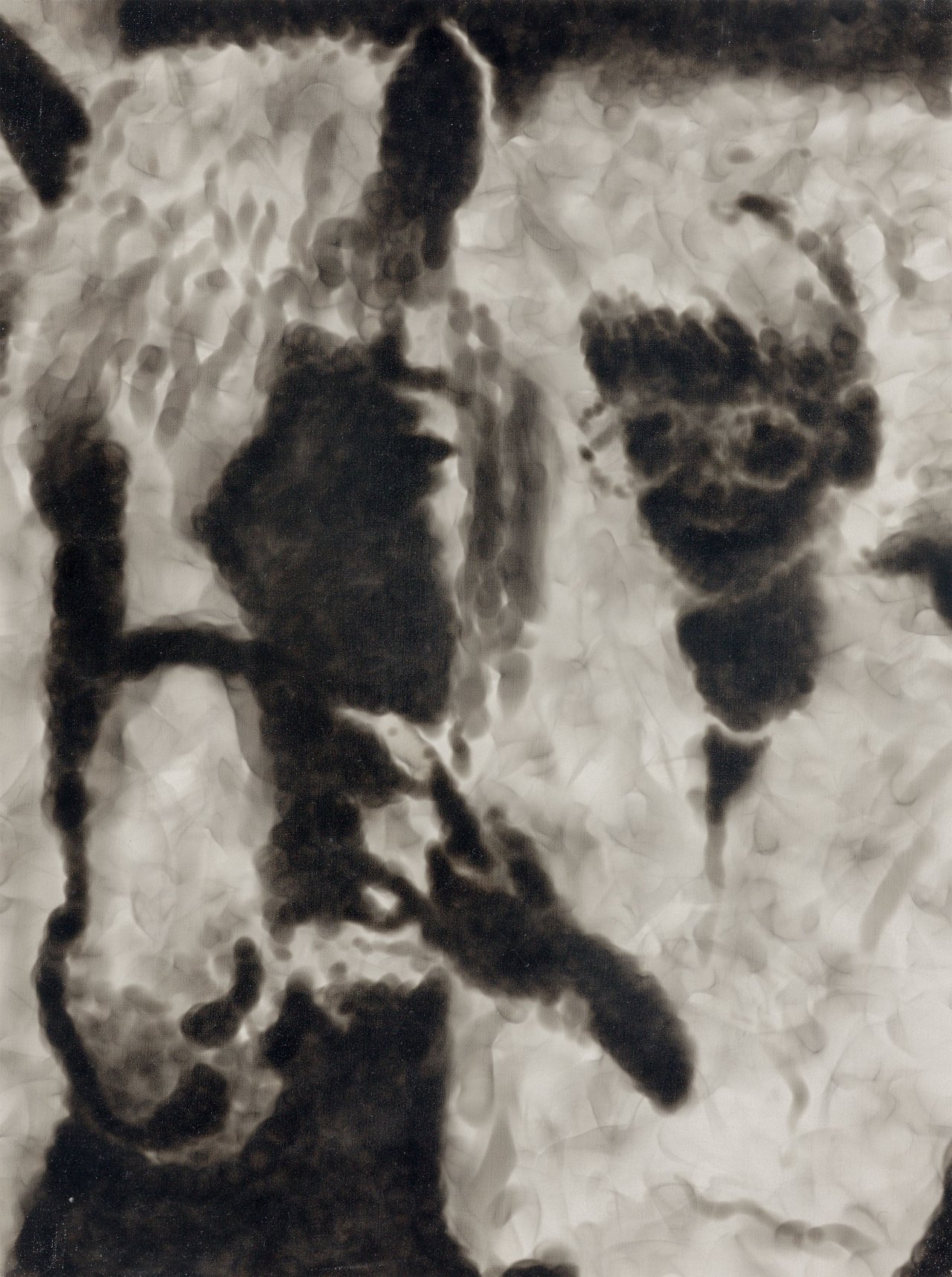 Auf diesem Bild ist das folgende Kunstwerk zu sehen: Jiří Georg Dokoupil. Mädchen mit Pferd. 1991.