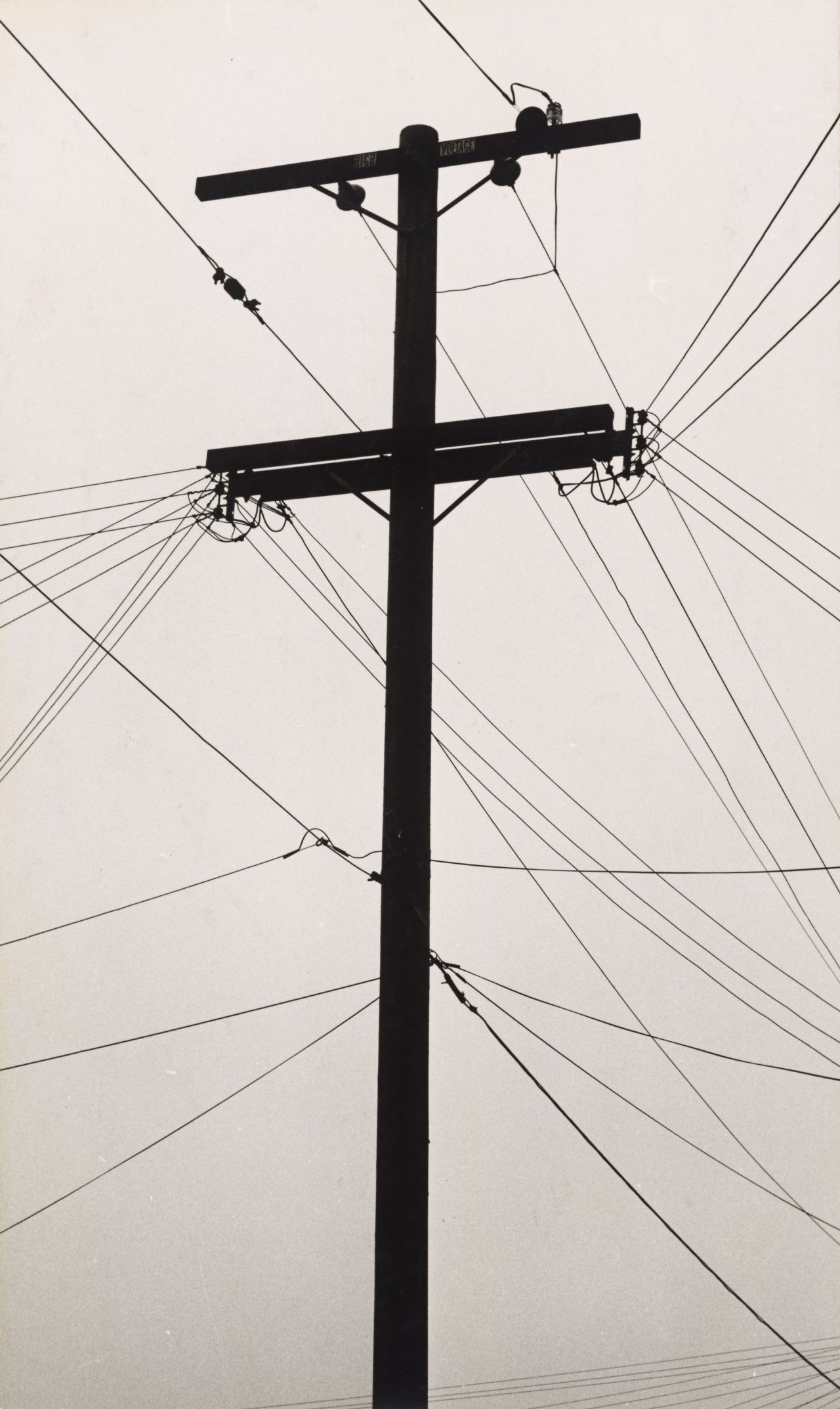 Auf diesem Bild ist das folgende Kunstwerk zu sehen: Ruth Bernhard. Telegraph Wires. 1953/63.