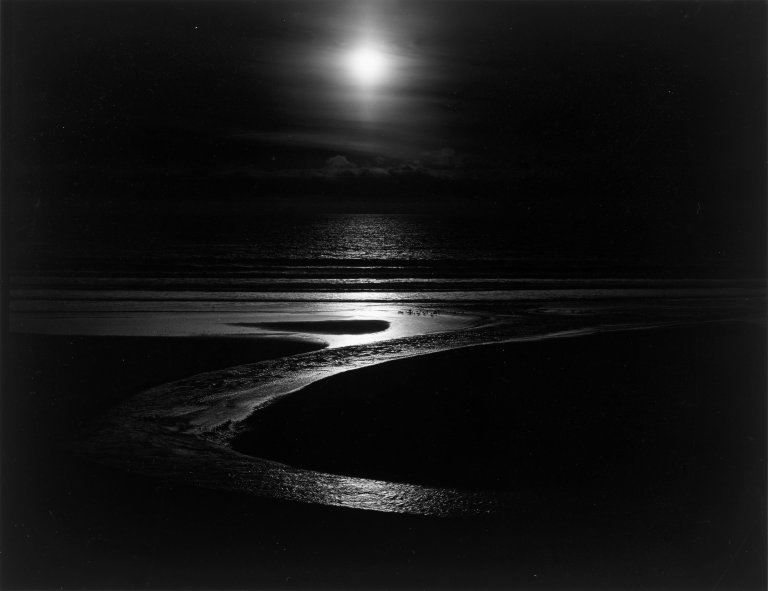 Auf diesem Bild ist das folgende Kunstwerk zu sehen: Wynn Bullock (d.i. Bullock, Percy Wingfield). Let There Be Light. 1953.