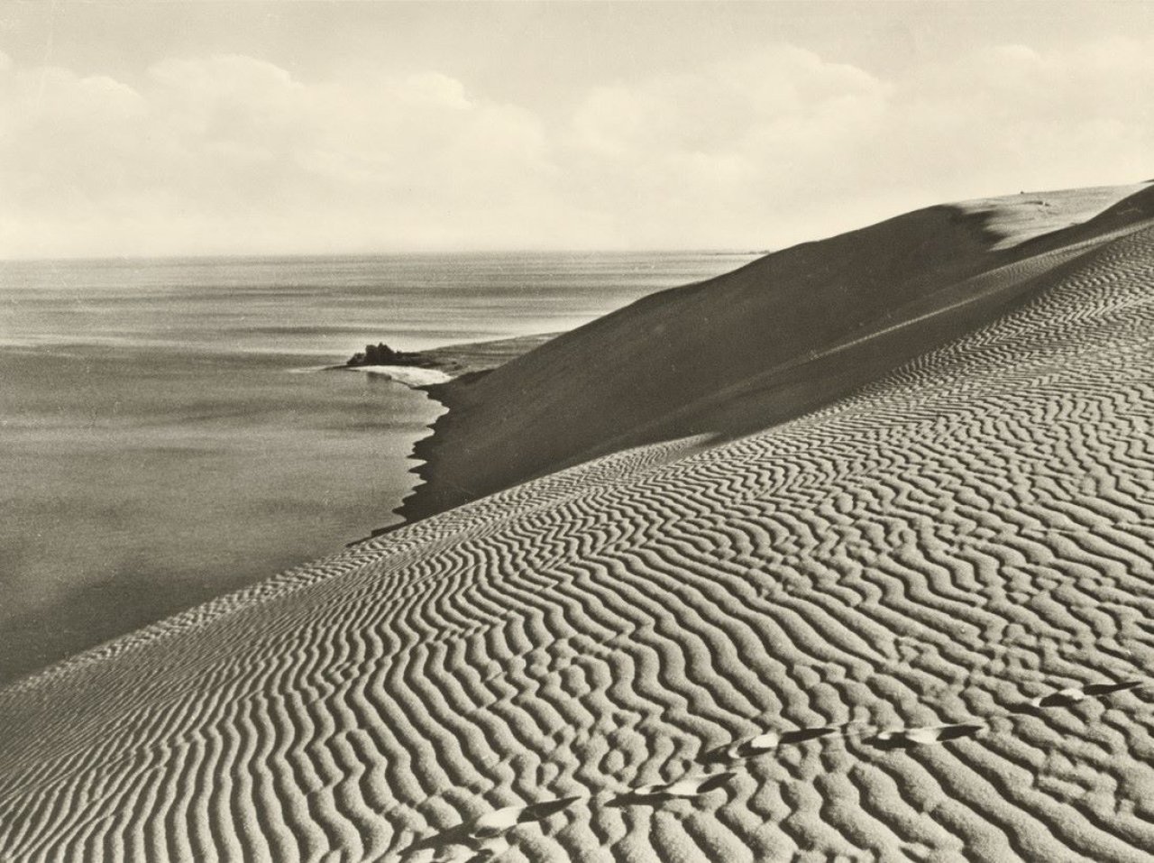 Auf diesem Bild ist das folgende Kunstwerk zu sehen: Alfred Ehrhardt. „Kurische Nehrung“. 1934.