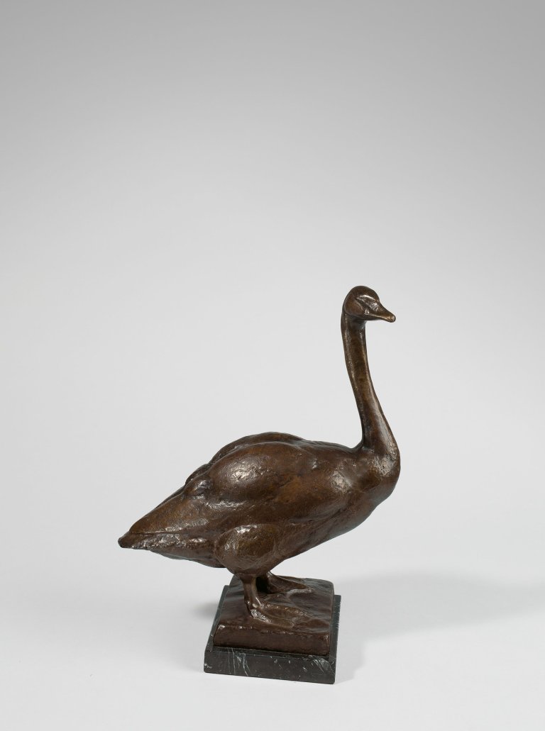 This picture shows the following artwork: August Gaul. „Modell Junger Schwan“. Circa 1919.