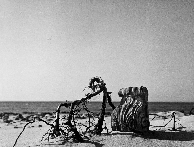 Auf diesem Bild ist das folgende Kunstwerk zu sehen: Herbert List. Strandarabeske, Ostsee. 1931.