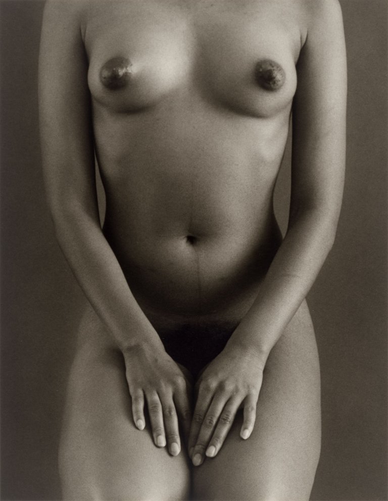 Auf diesem Bild ist das folgende Kunstwerk zu sehen: Ruth Bernhard. „Dark Torso“. 1971.