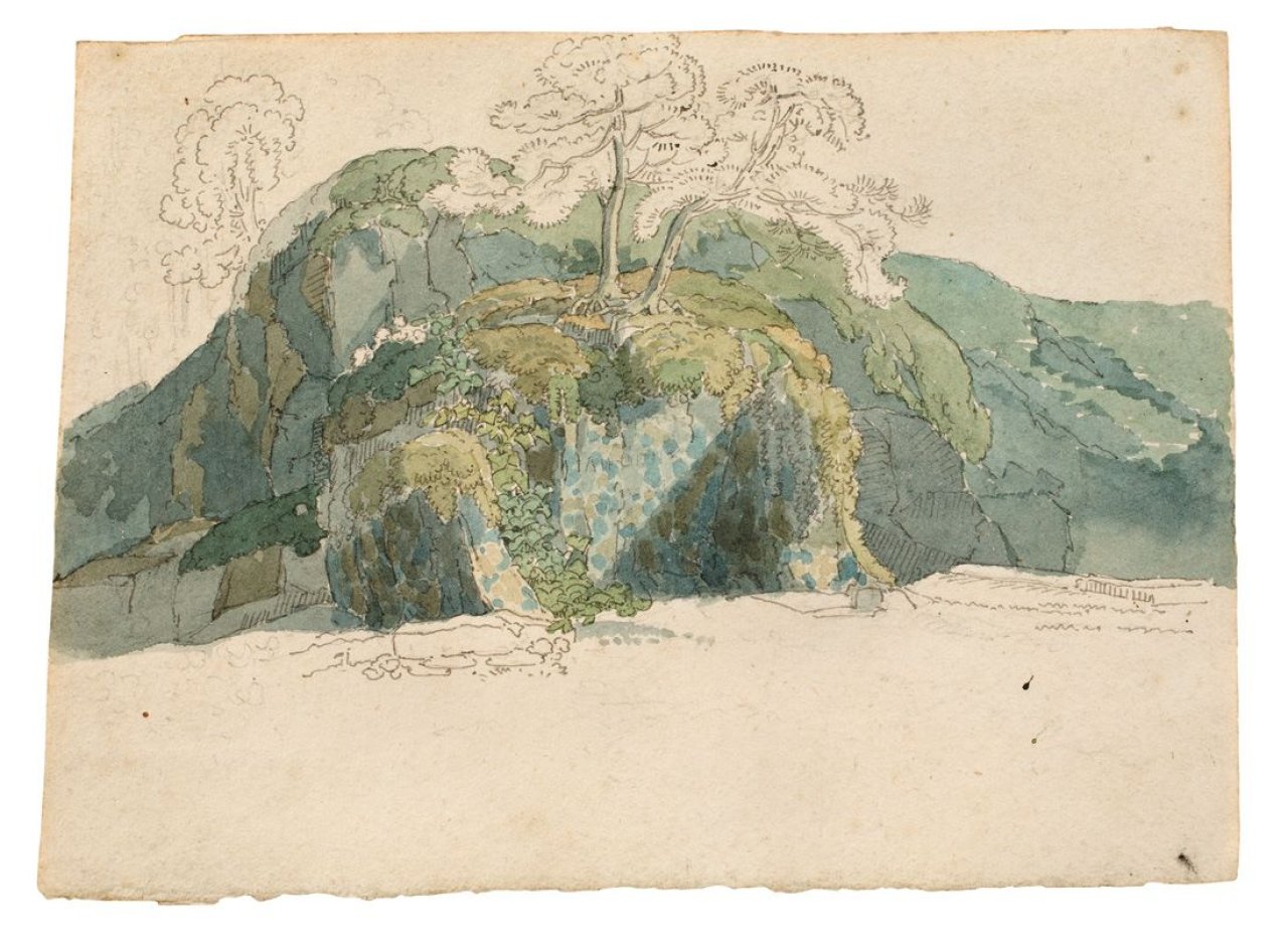 Catalog image of Bäume auf Felsen.