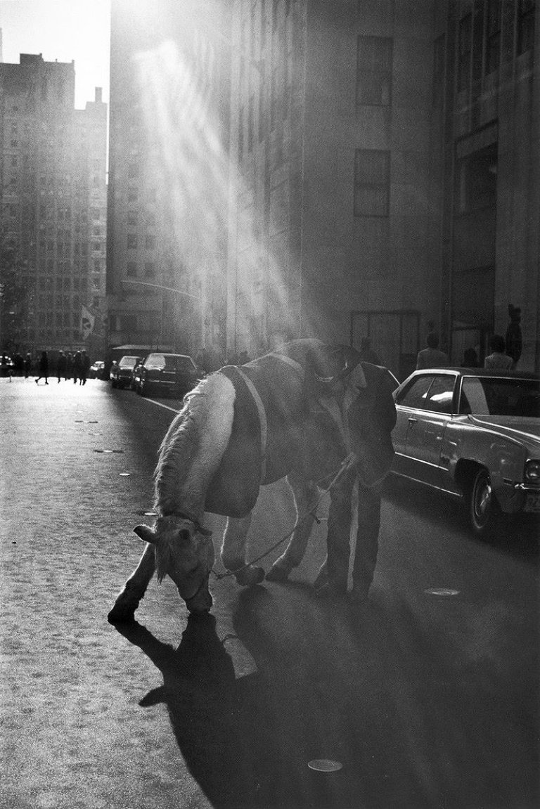 Auf diesem Bild ist das folgende Kunstwerk zu sehen: Louis Stettner. „Horse & Rodeo Cowboy, Rockefeller Center, New York City“. 1972.