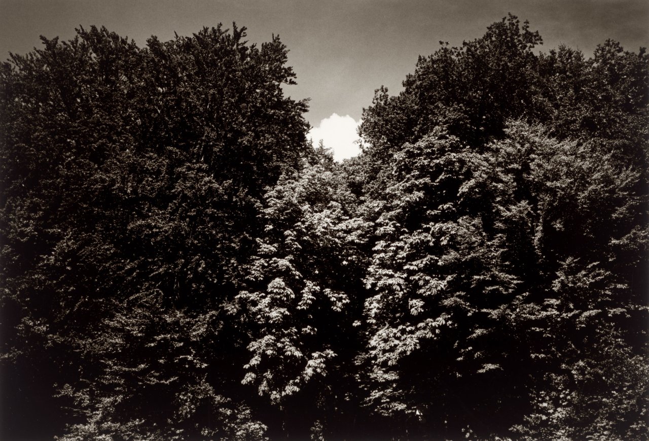 Auf diesem Bild ist das folgende Kunstwerk zu sehen: Heinrich Riebesehl. Aus der Serie „Situationen + Objekte“, 1973–1977. 1976.