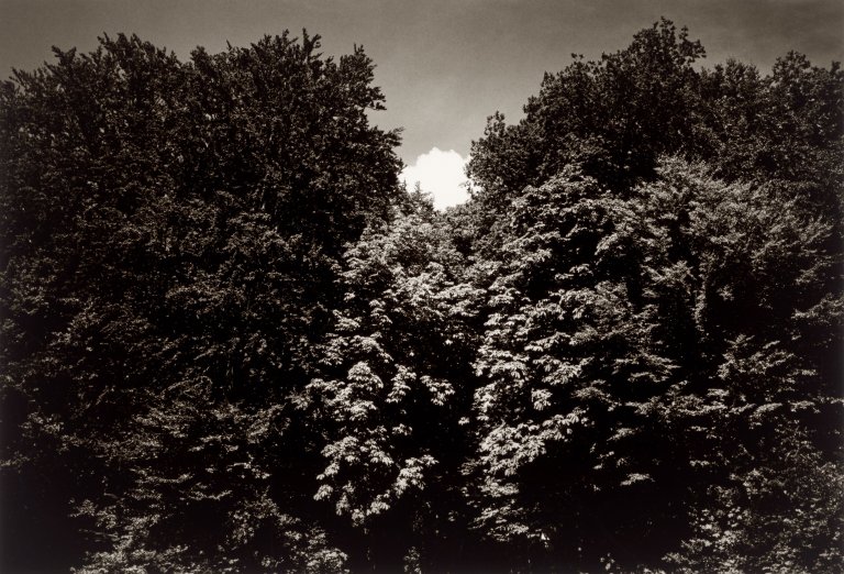 Auf diesem Bild ist das folgende Kunstwerk zu sehen: Heinrich Riebesehl. Aus der Serie „Situationen + Objekte“, 1973–1977. 1976.