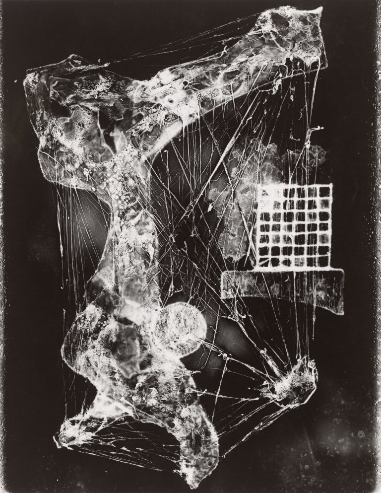 Auf diesem Bild ist das folgende Kunstwerk zu sehen: Heinz Hajek-Halke. Vergänglichkeit. Um 1956.