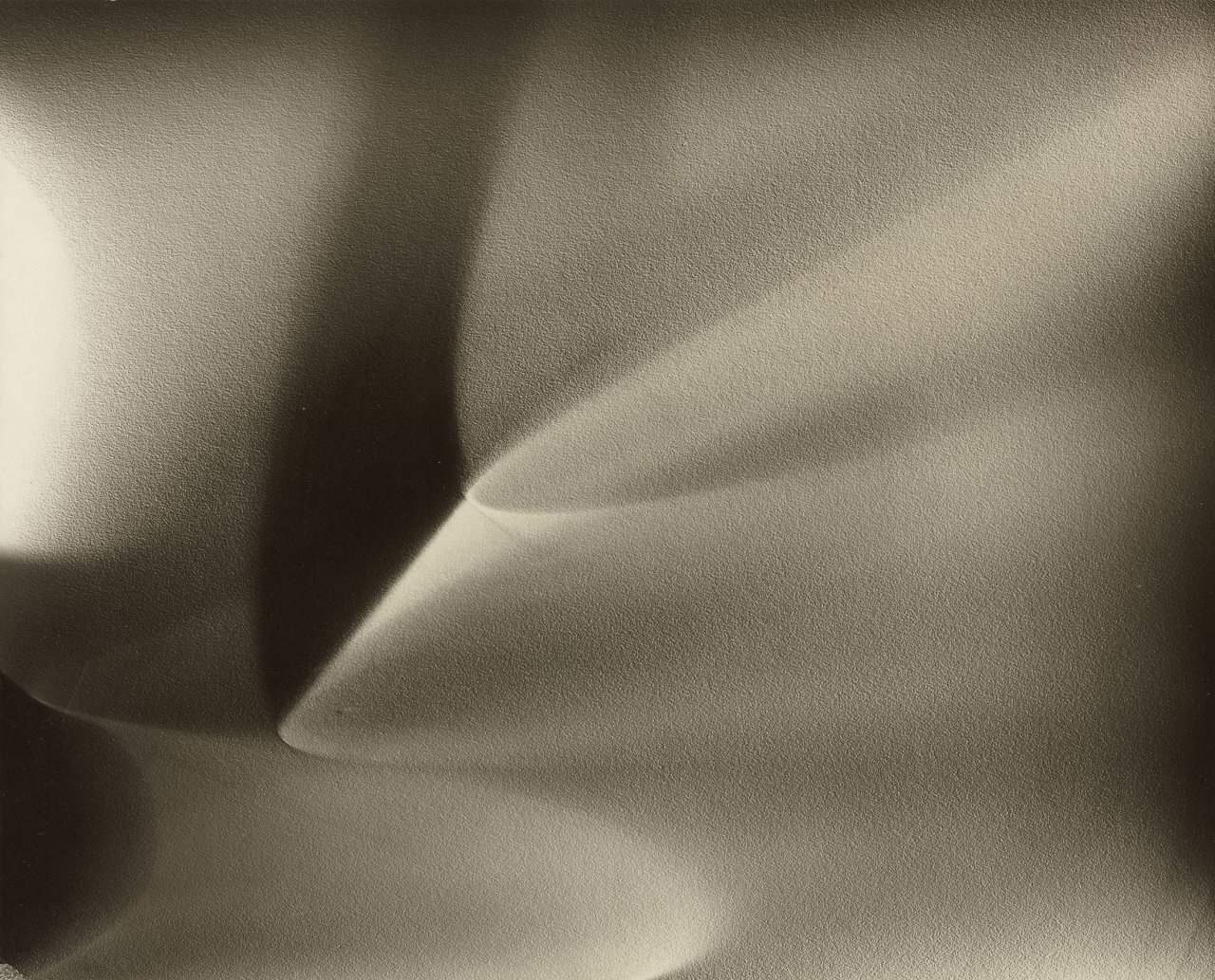 Auf diesem Bild ist das folgende Kunstwerk zu sehen: Lotte Jacobi. Photogenic. 1946–1955.