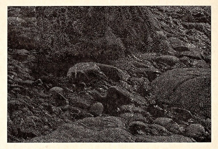 Auf diesem Bild ist das folgende Kunstwerk zu sehen: Franz Gertsch. Schwarzwasser. 1990/91.
