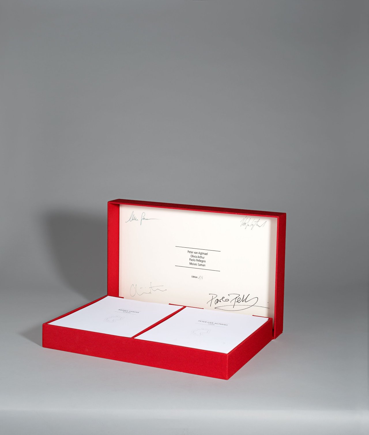 Auf diesem Bild ist das folgende Kunstwerk zu sehen:  Mappenwerk. „Deutschlandreise“. Photographien von Peter van Agtmael, Olivia Arthur, Paolo Pellegrin und Moises Saman. 2013.