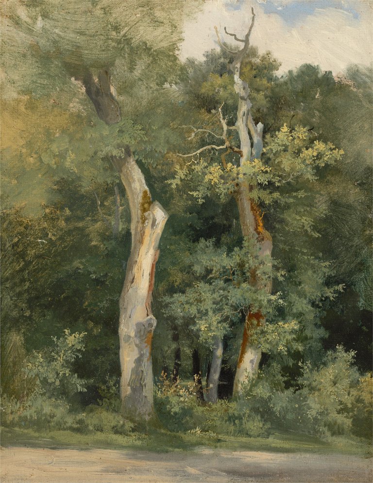 Auf diesem Bild ist das folgende Kunstwerk zu sehen:  Französisch, um 1840. Baumstudie.