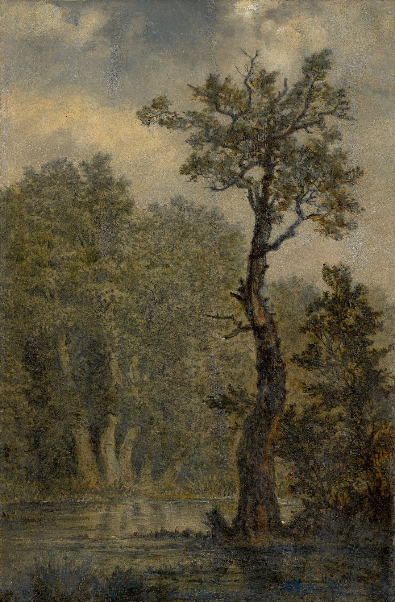 This picture shows the following artwork: Carl Gustav Carus. „Waldlandschaft“.