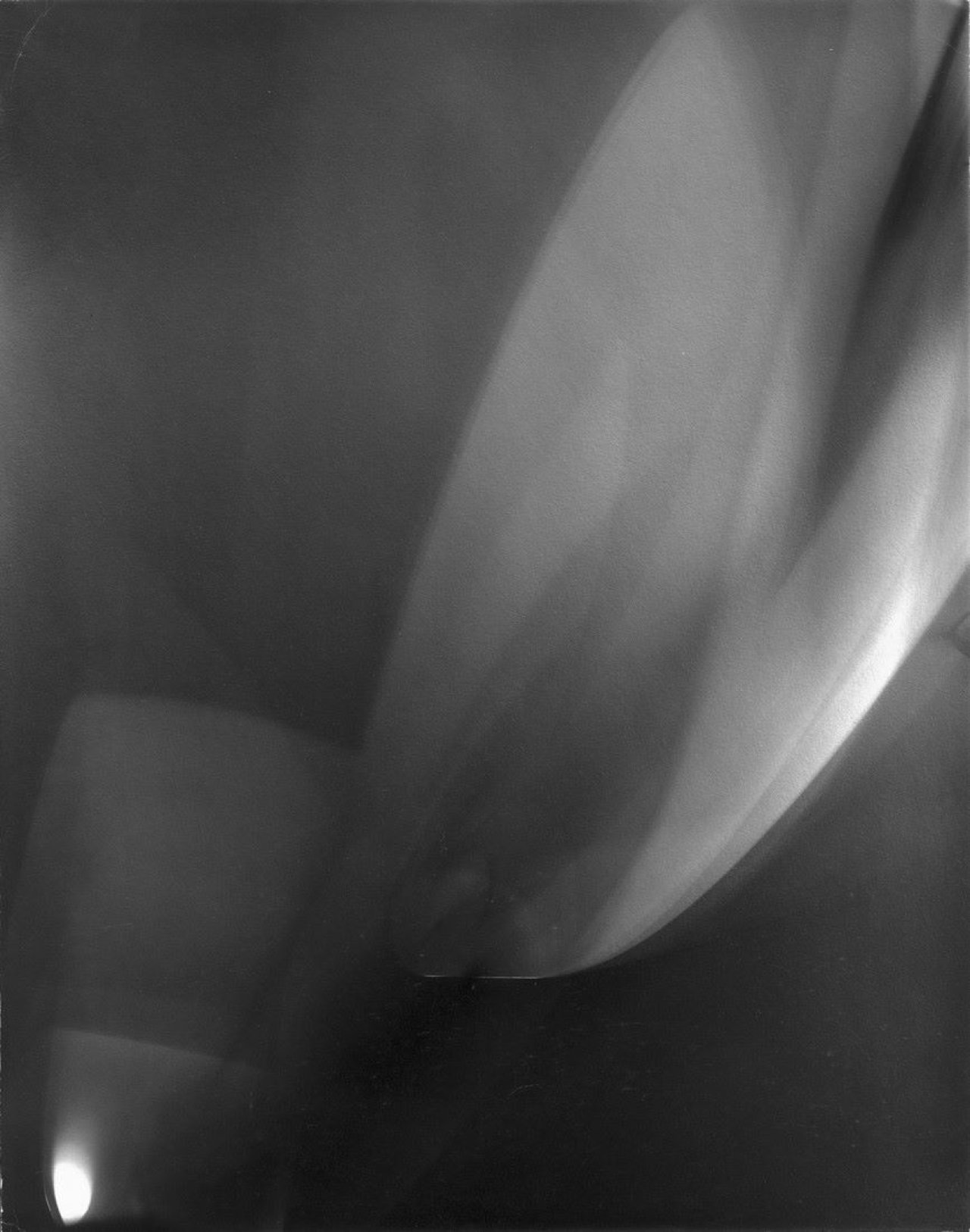 Auf diesem Bild ist das folgende Kunstwerk zu sehen: Lotte Jacobi. „Photogenic“. 1946–1955.