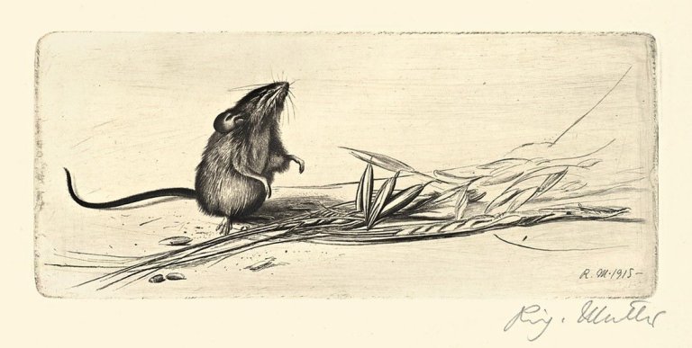Auf diesem Bild ist das folgende Kunstwerk zu sehen: Richard Müller. „Maus mit Nuss“ / „Maus mit Hafer“ / „Maus mit Würmern“. 1910/1915/1915.