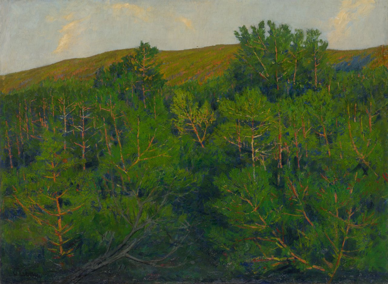 Auf diesem Bild ist das folgende Kunstwerk zu sehen: Walter Leistikow. Märkische Kiefern (Müggelberge bei Berlin).
