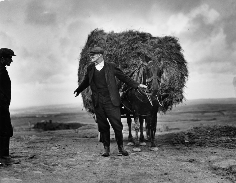 Auf diesem Bild ist das folgende Kunstwerk zu sehen: Dorothea Lange. Irish Farmer carting hay. 1955.