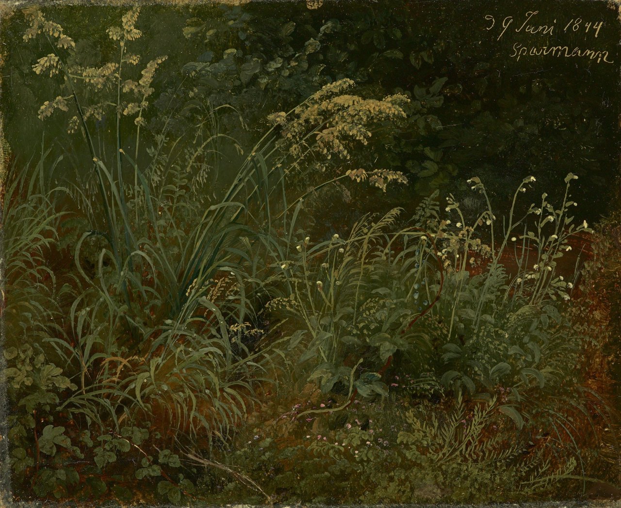 Auf diesem Bild ist das folgende Kunstwerk zu sehen: Karl Christian Sparmann. Waldwiese. 1844.