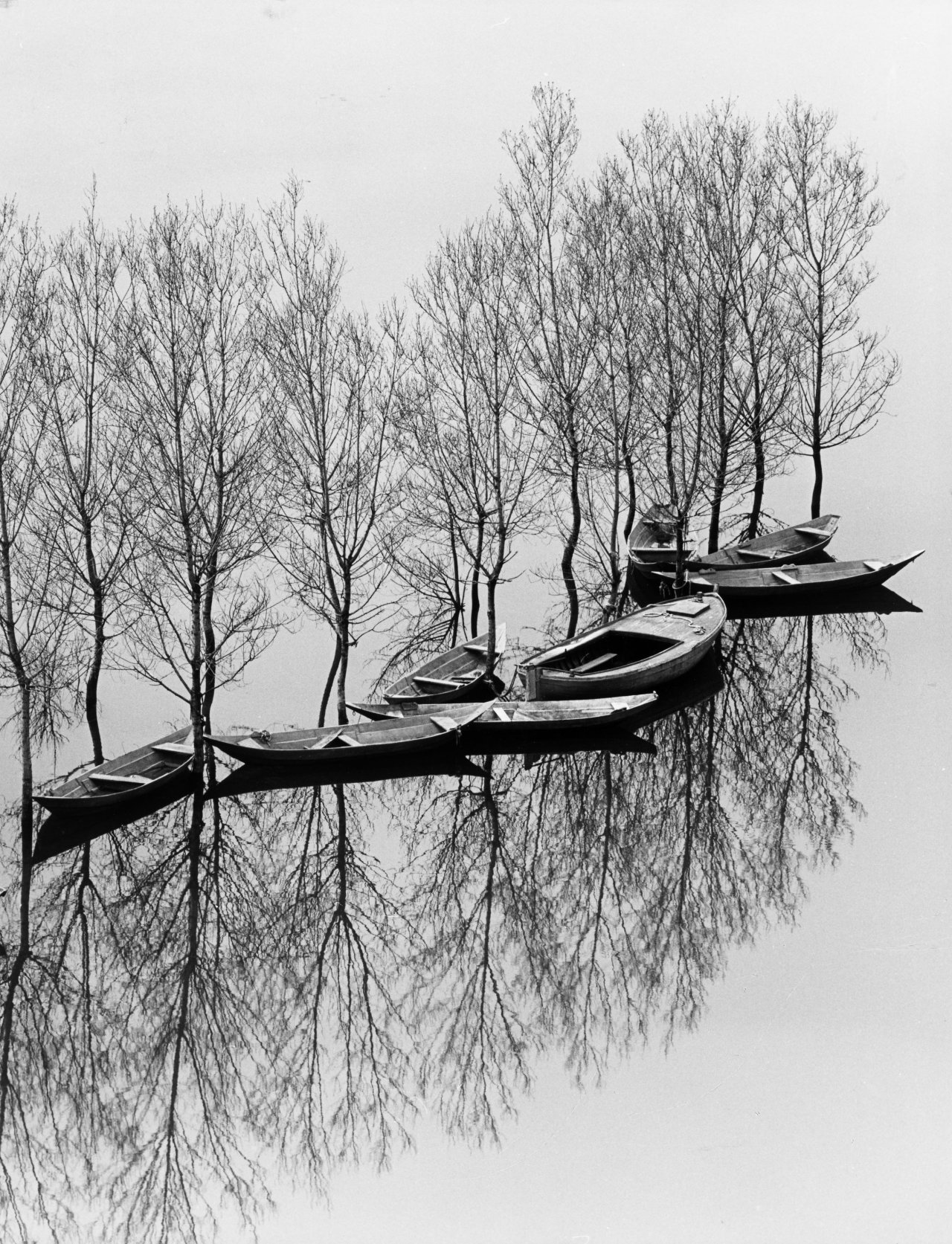 Catalog image of „Hochwasser am Skutari-See, Jugoslawien“. 1971