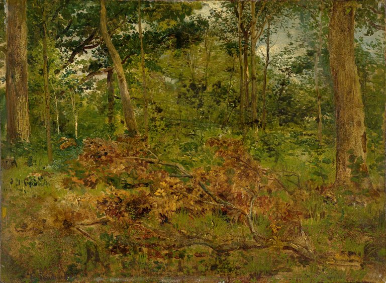 Auf diesem Bild ist das folgende Kunstwerk zu sehen: Karl Buchholz. Waldinneres.