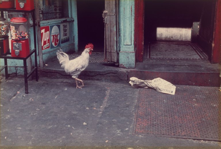Auf diesem Bild ist das folgende Kunstwerk zu sehen: Helen Levitt. „N.Y.“. 1971.