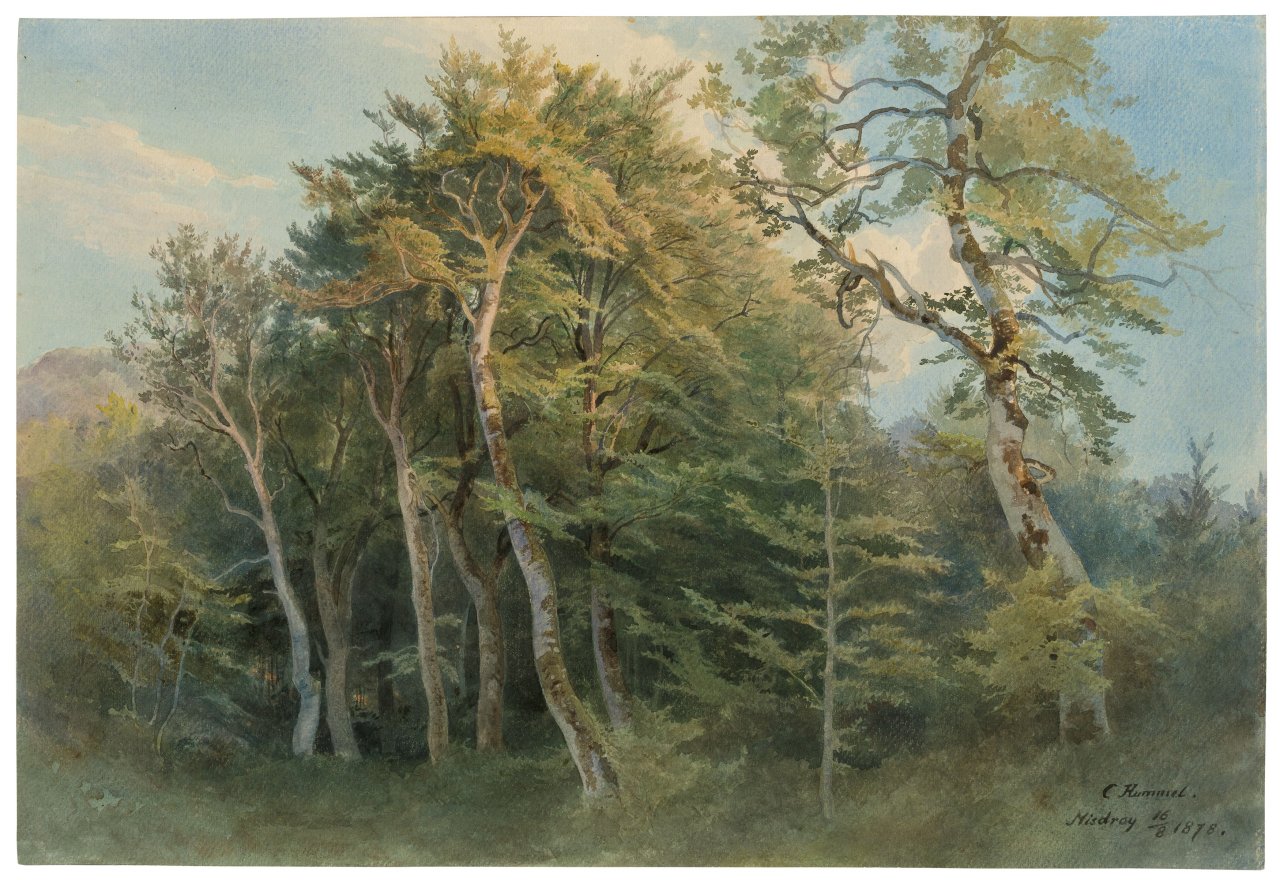 Auf diesem Bild ist das folgende Kunstwerk zu sehen: Carl Hummel. „Misdroy“. 1878.