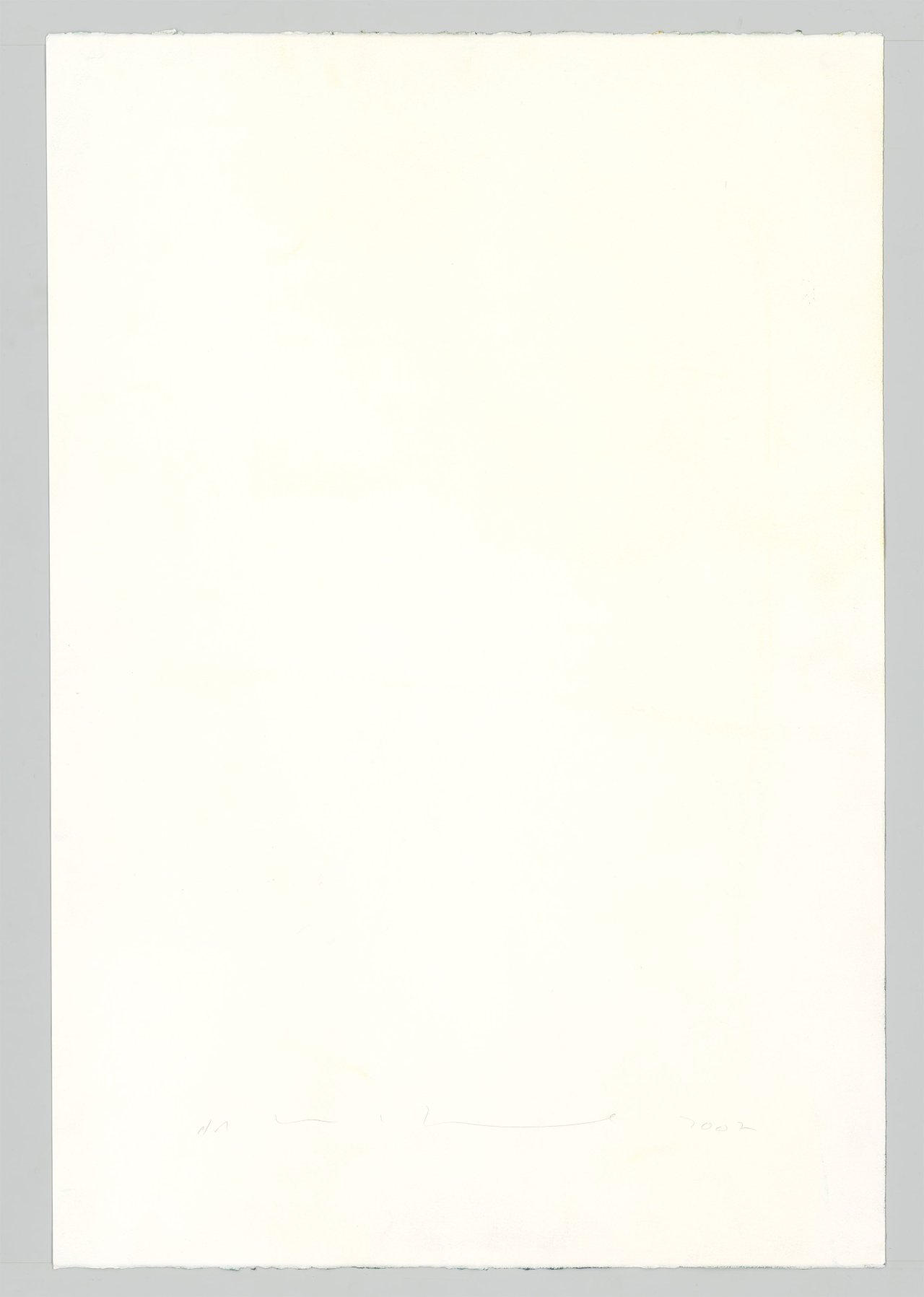 This picture shows the following artwork: Katharina Grosse. Untitled. 2007.