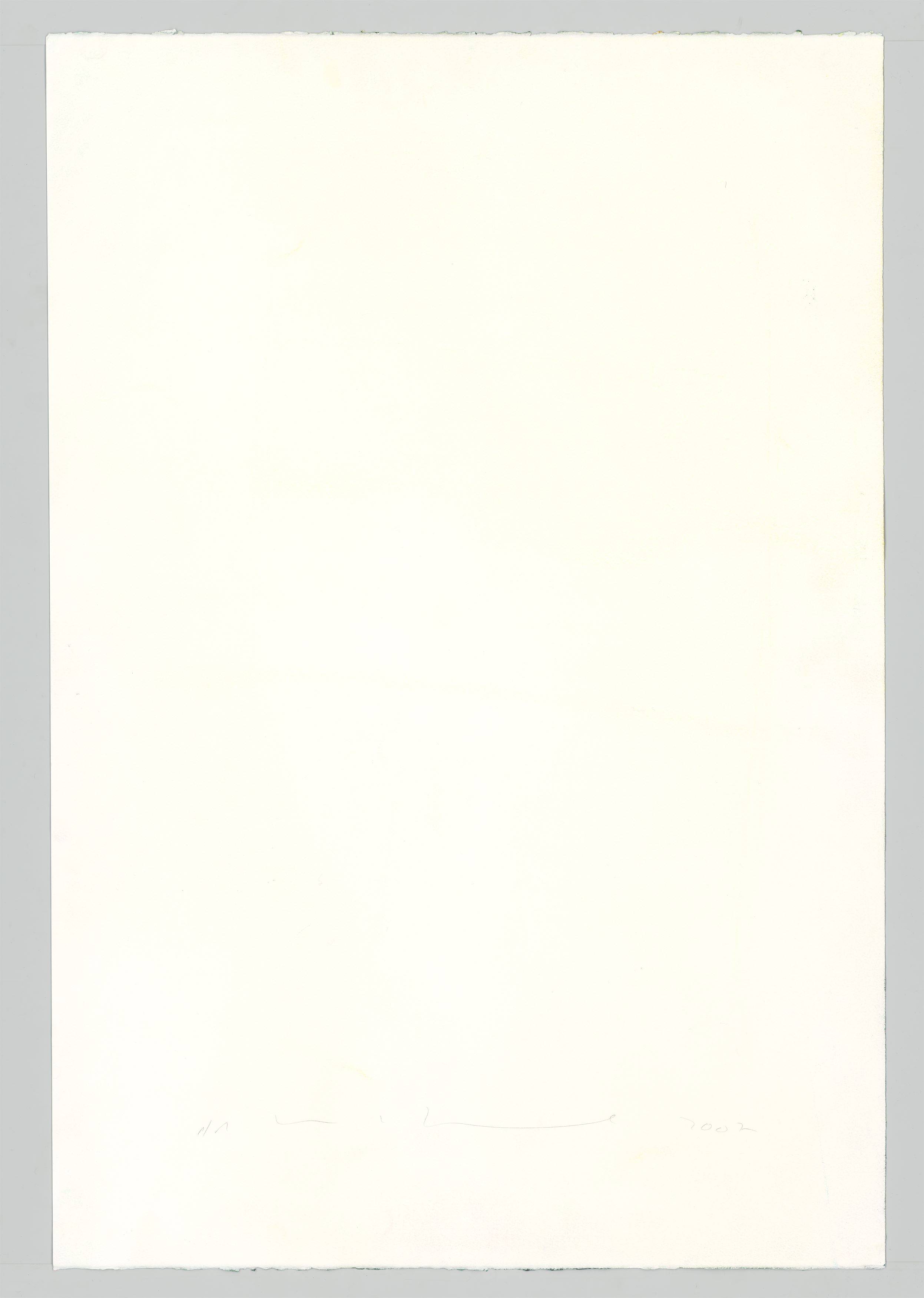 This picture shows the following artwork: Katharina Grosse. Untitled. 2007.