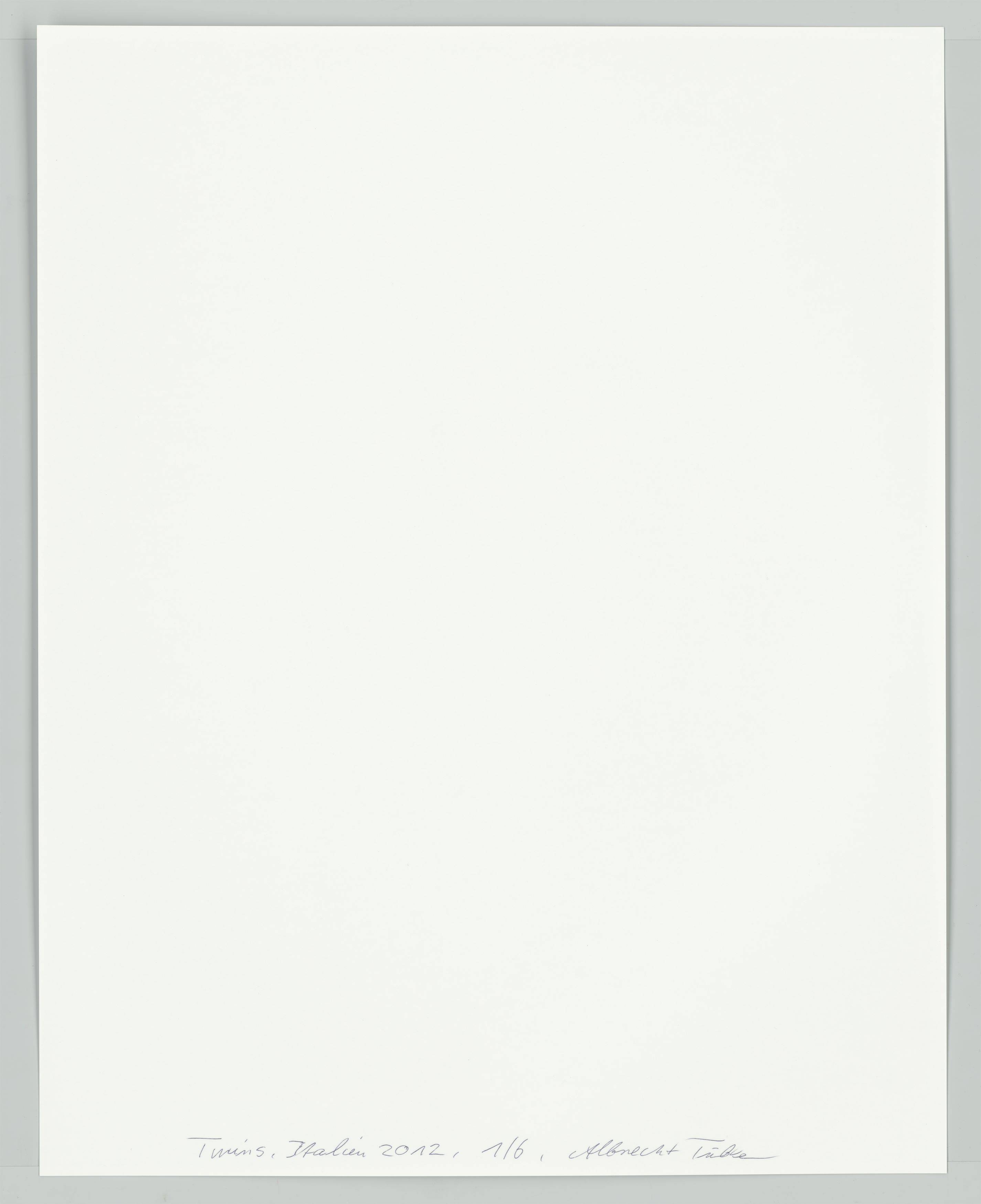 Auf diesem Bild ist das folgende Kunstwerk zu sehen: Albrecht Tübke. Italien, aus der Serie „Twins“, 2000–2015. 2012.