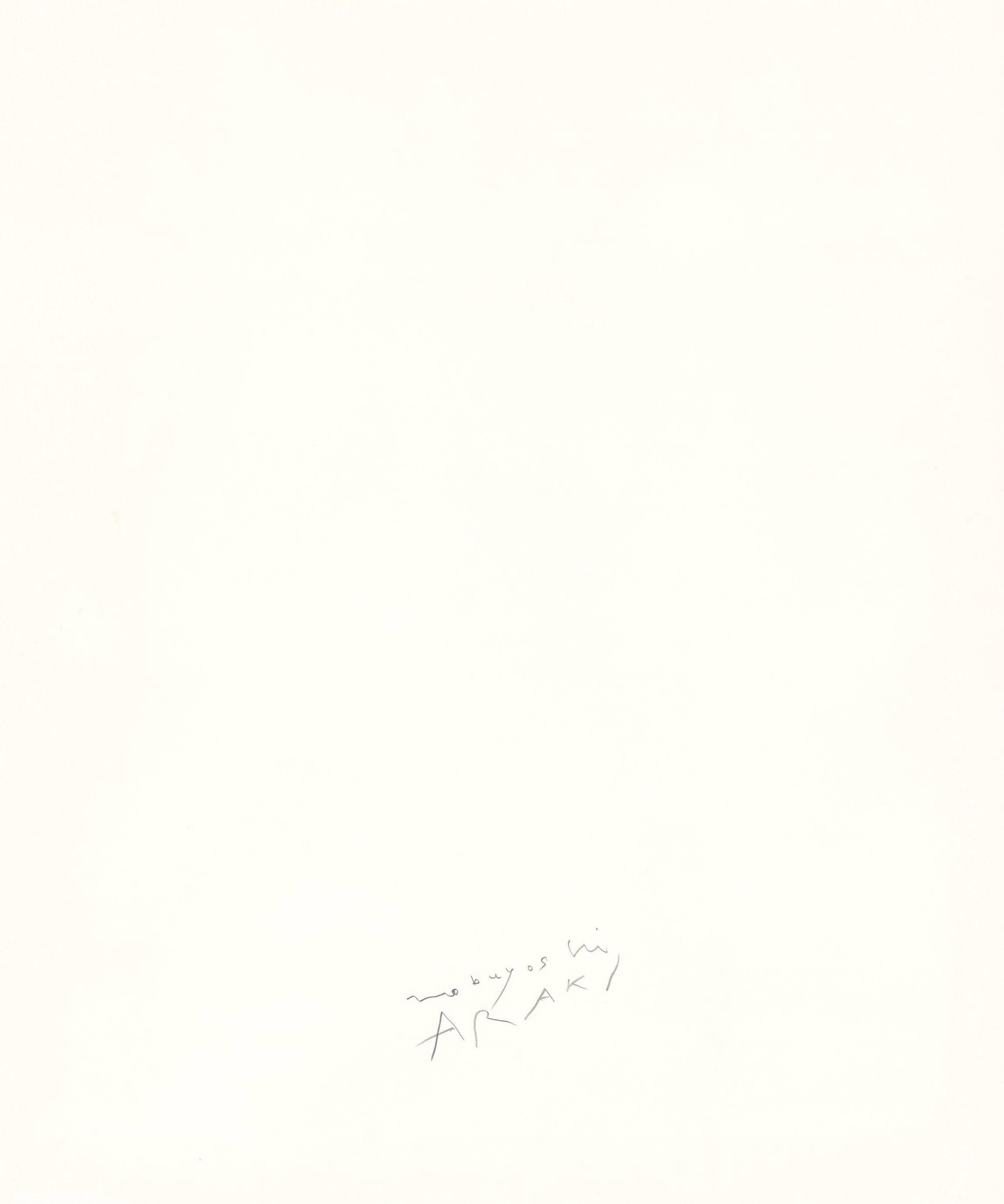 This picture shows the following artwork: Nobuyoshi Araki. From the series ”Kinbaku”. 1991.
