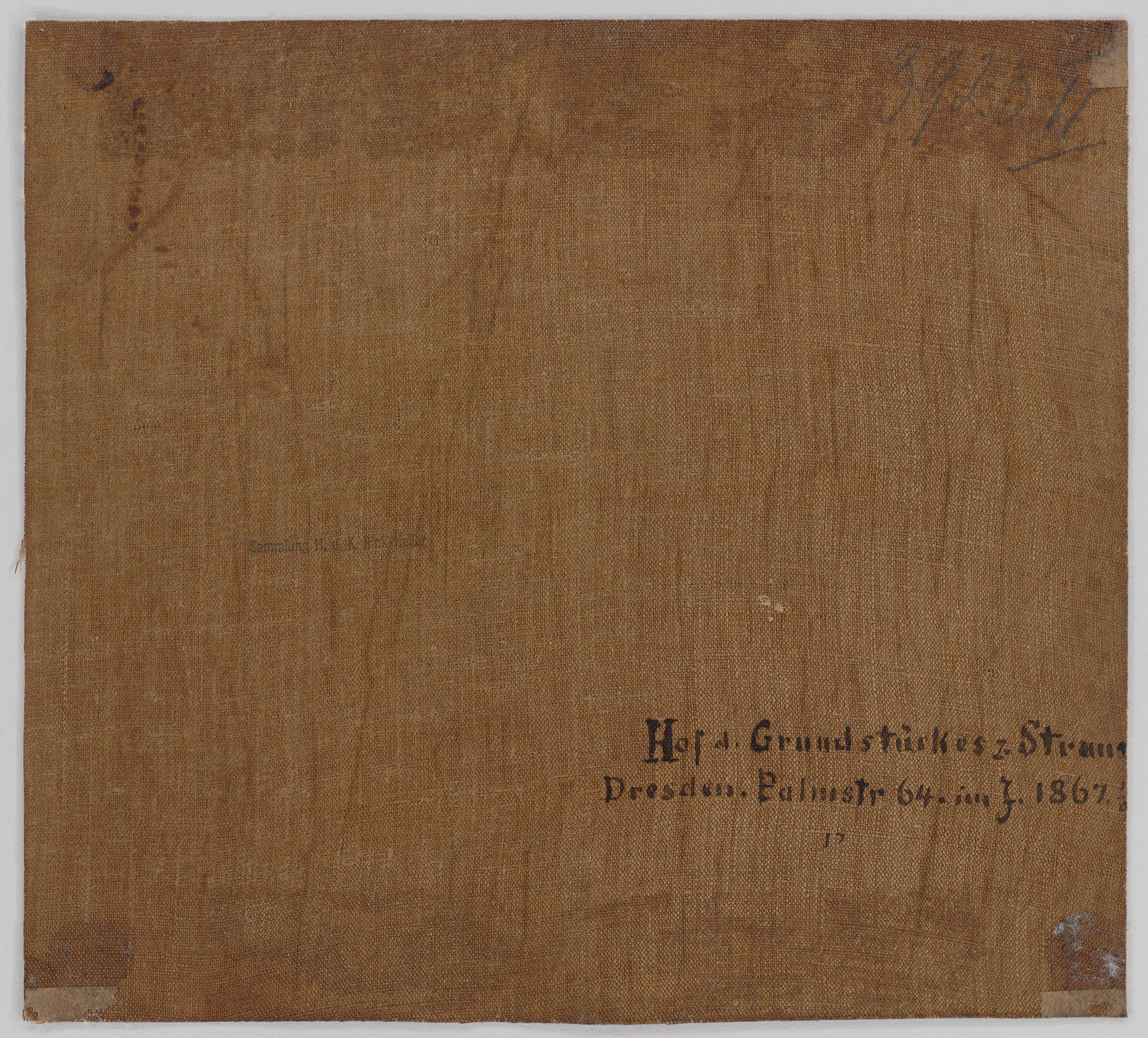 This picture shows the following artwork:  Dresden, 1867. View over the rooftops (Palmstr. 64 in Dresden). 1867.