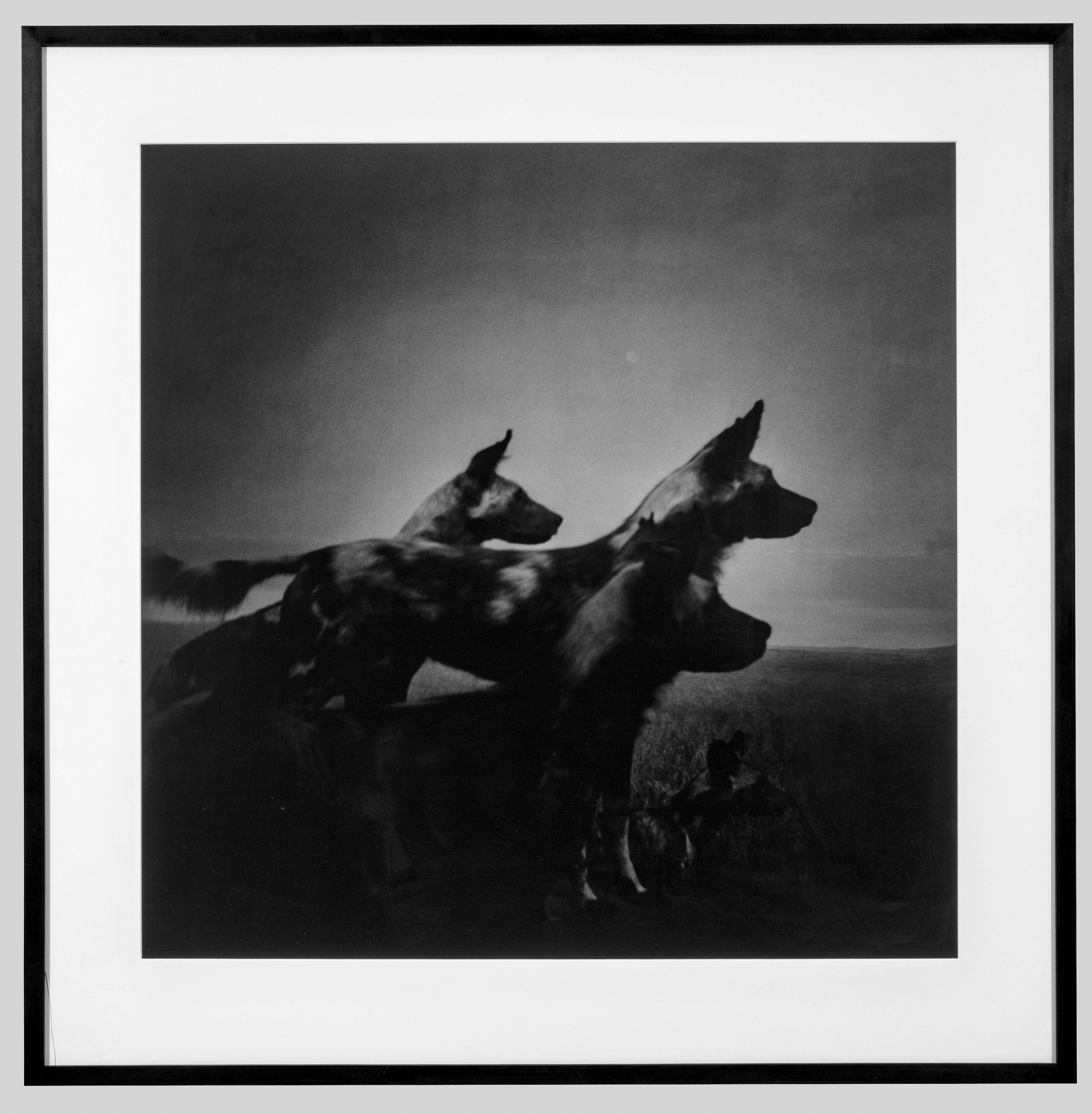 Auf diesem Bild ist das folgende Kunstwerk zu sehen: Gregor Törzs. Boy on Safari. 2006.
