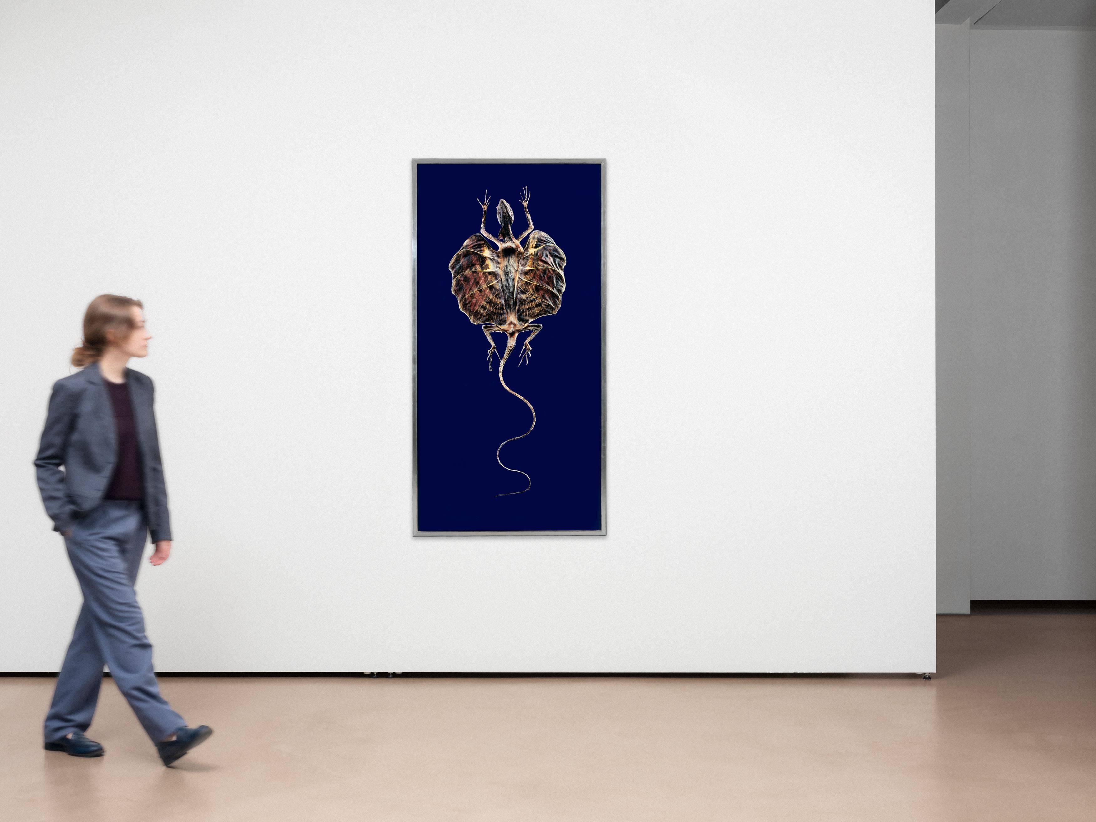 Auf diesem Bild ist das folgende Kunstwerk zu sehen: Harf Zimmermann. Flugdrache, Sammlung Fiebig. 2013.