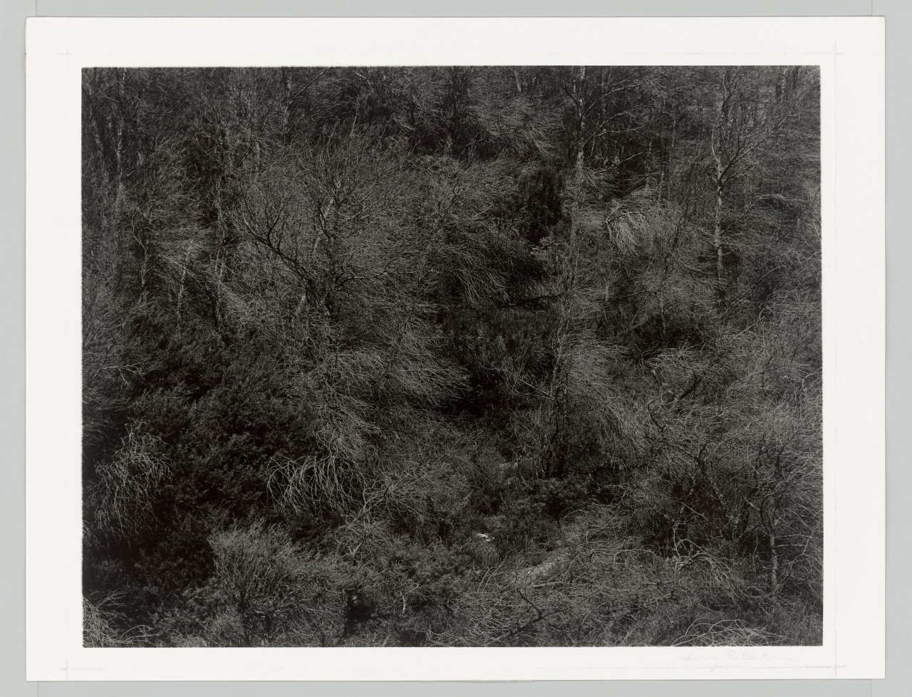 This picture shows the following artwork: Harry Callahan. Aix-en-Provence, France. 1957.