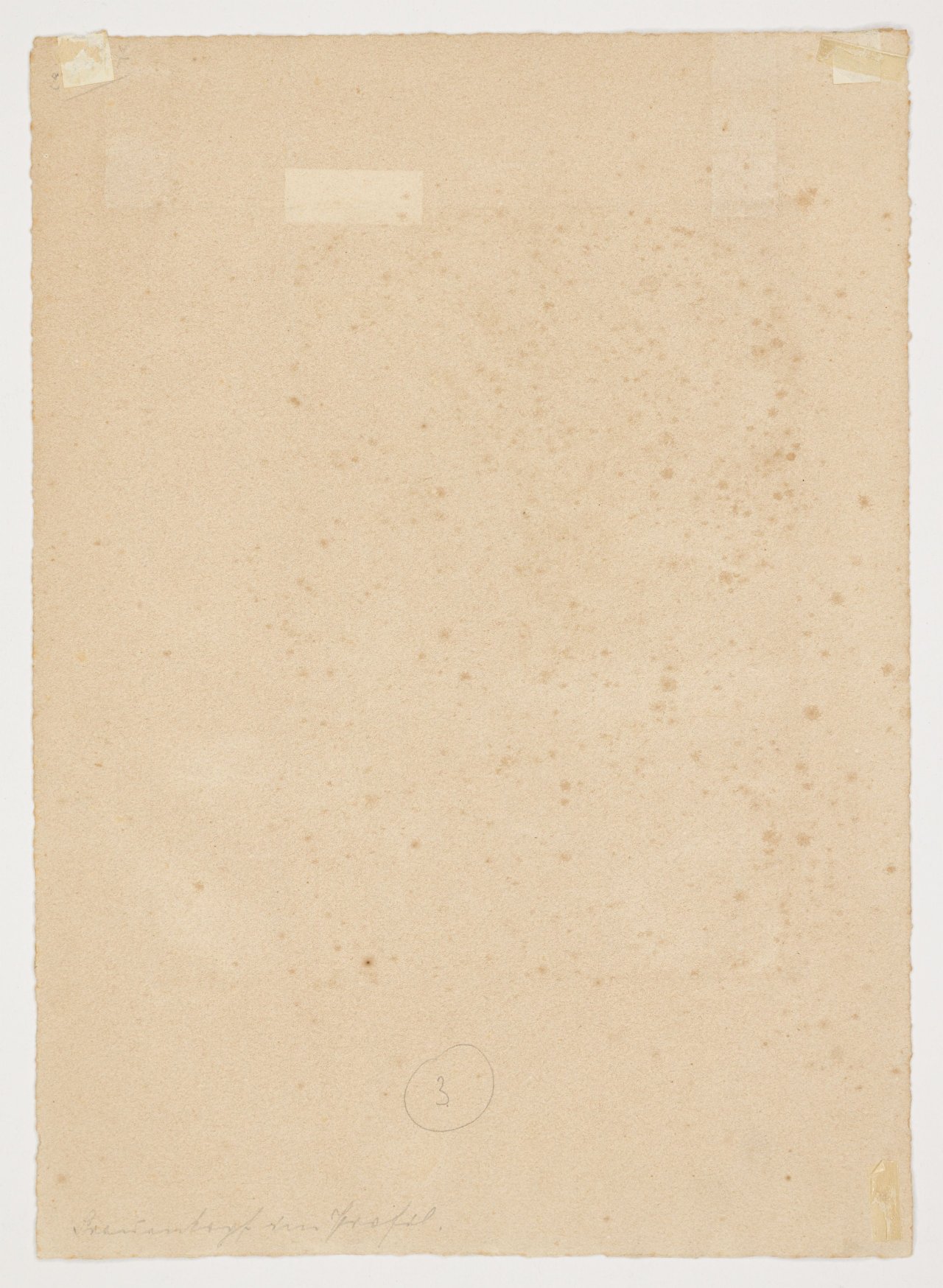 This picture shows the following artwork: Max Beckmann. ”Naila im Profil (Bildnis Frau H. M.)”. 1923.