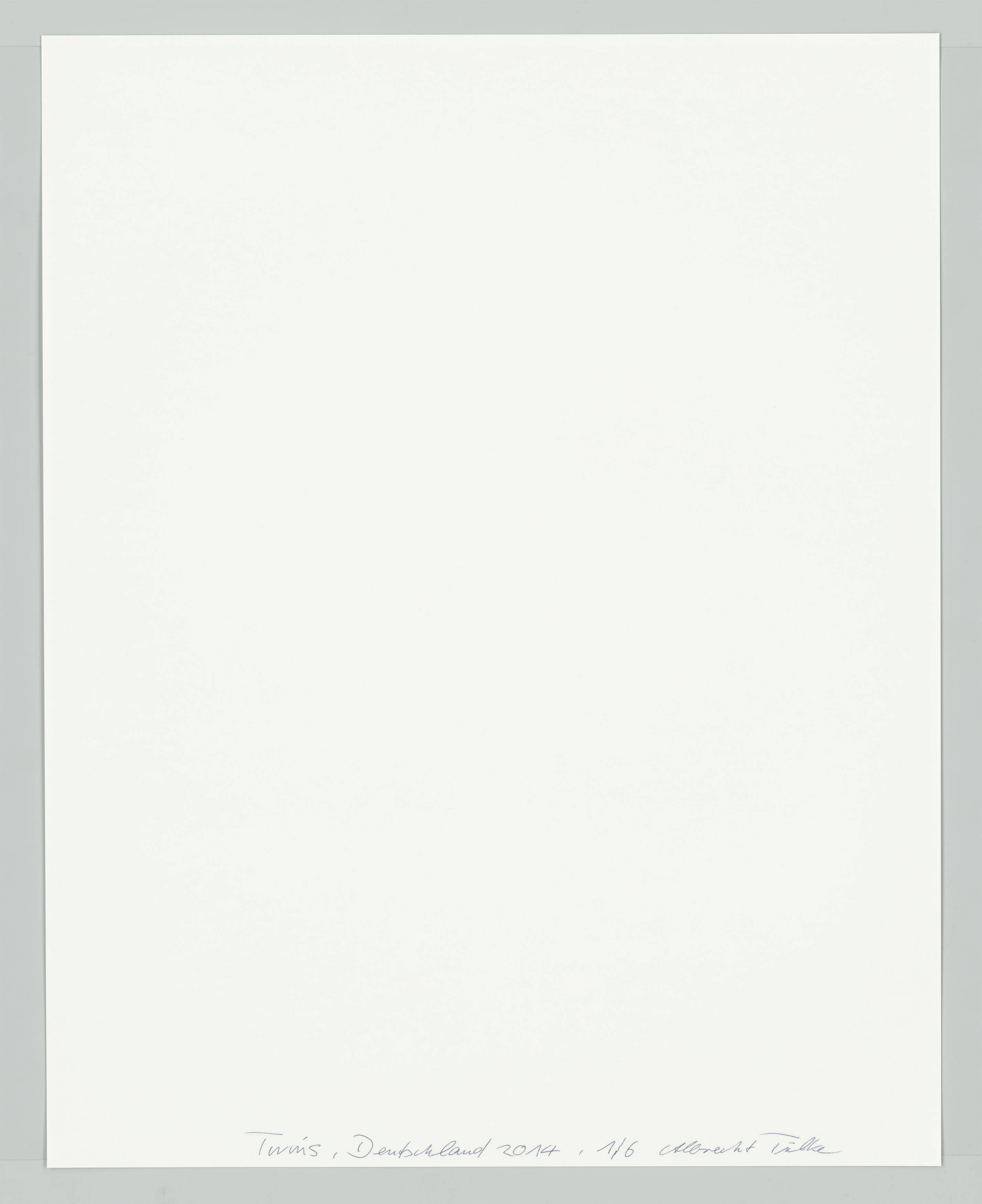 Auf diesem Bild ist das folgende Kunstwerk zu sehen: Albrecht Tübke. Deutschland, aus der Serie „Twins“, 2000–2015. 2014.