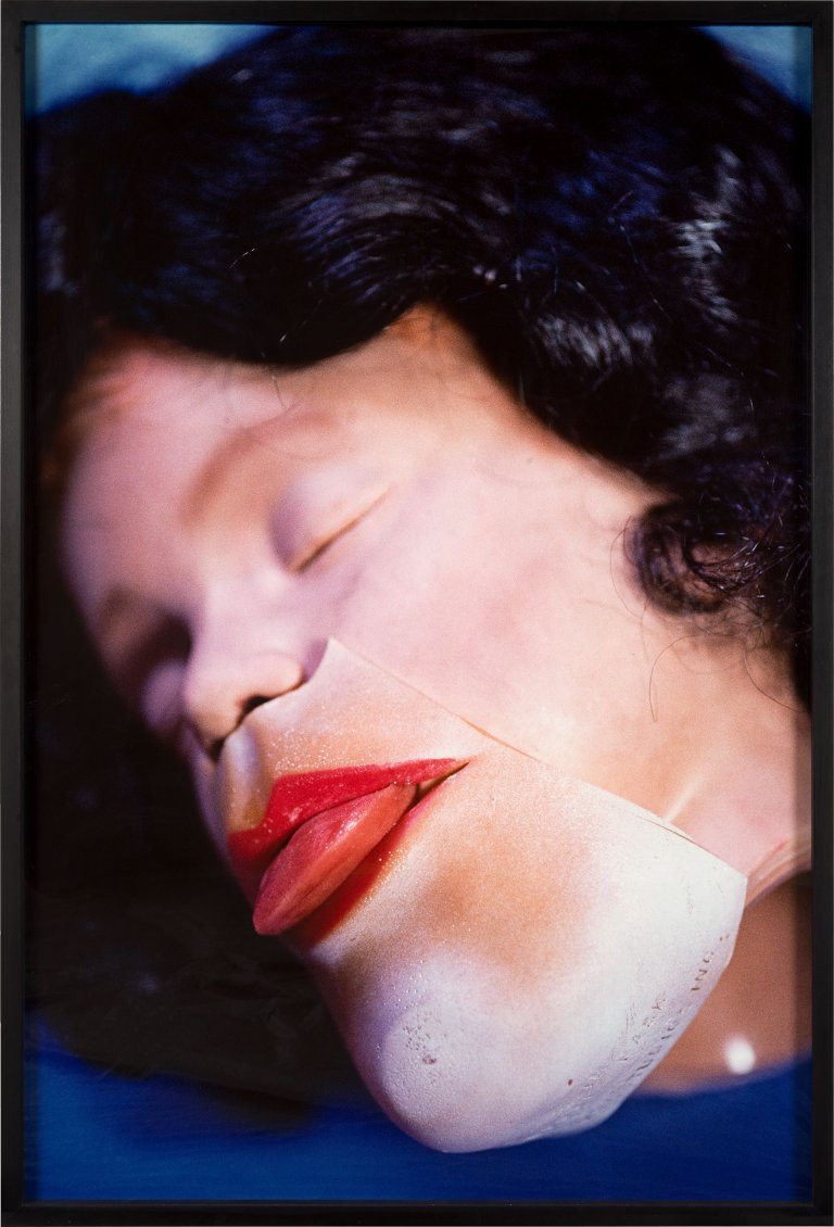 This picture shows the following artwork: Cindy Sherman. Untitled # 329. 1996.
