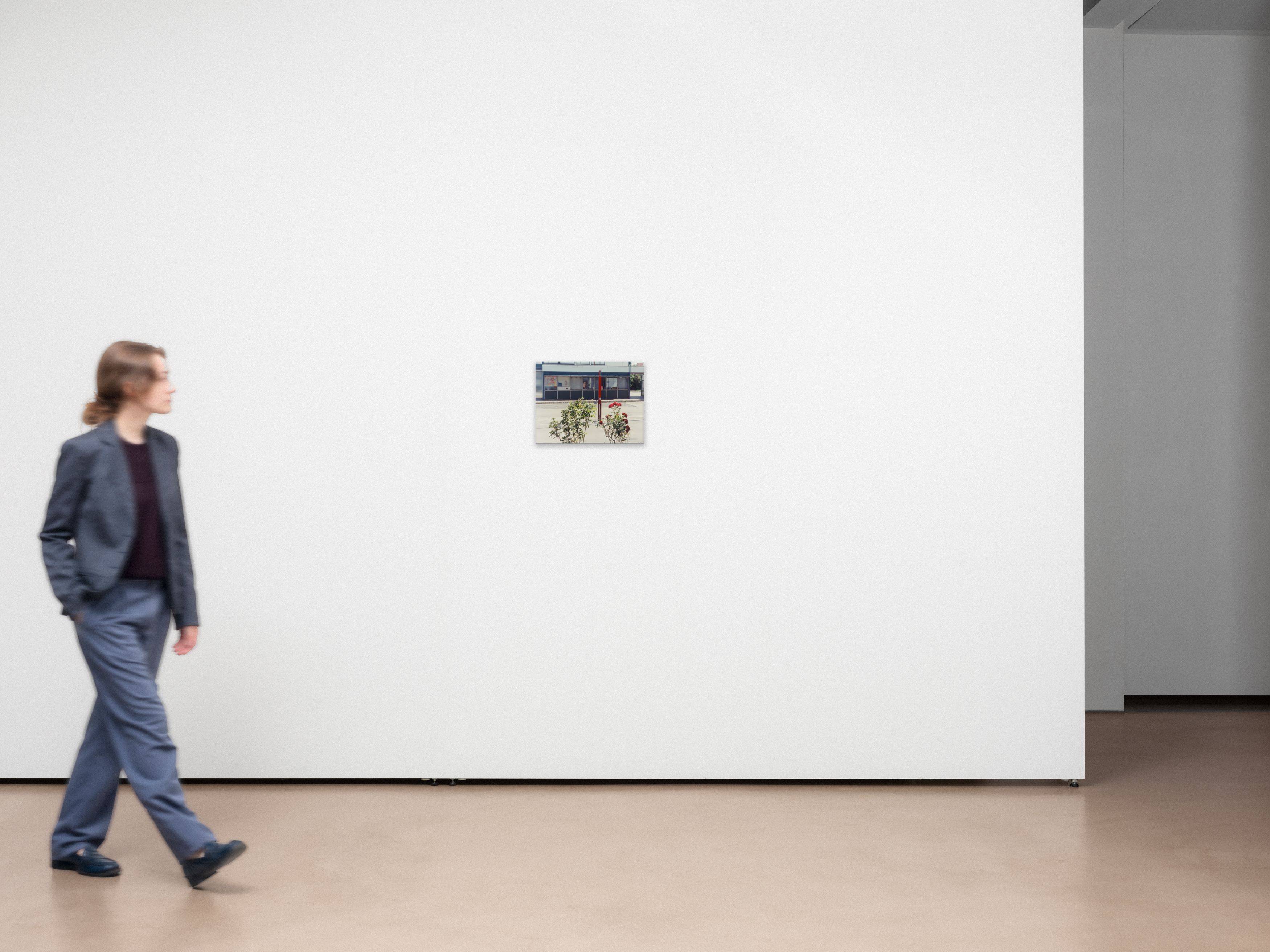 This picture shows the following artwork: Joachim Brohm. From the series ”Areal”, 1992–2002. 1995.