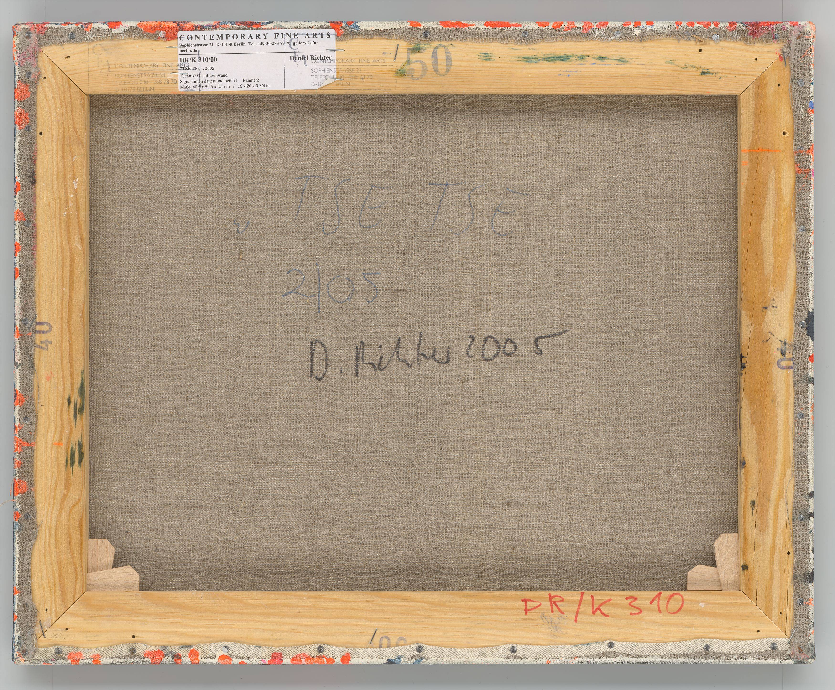 This picture shows the following artwork: Daniel Richter. ”TSE TSE”. 2005.