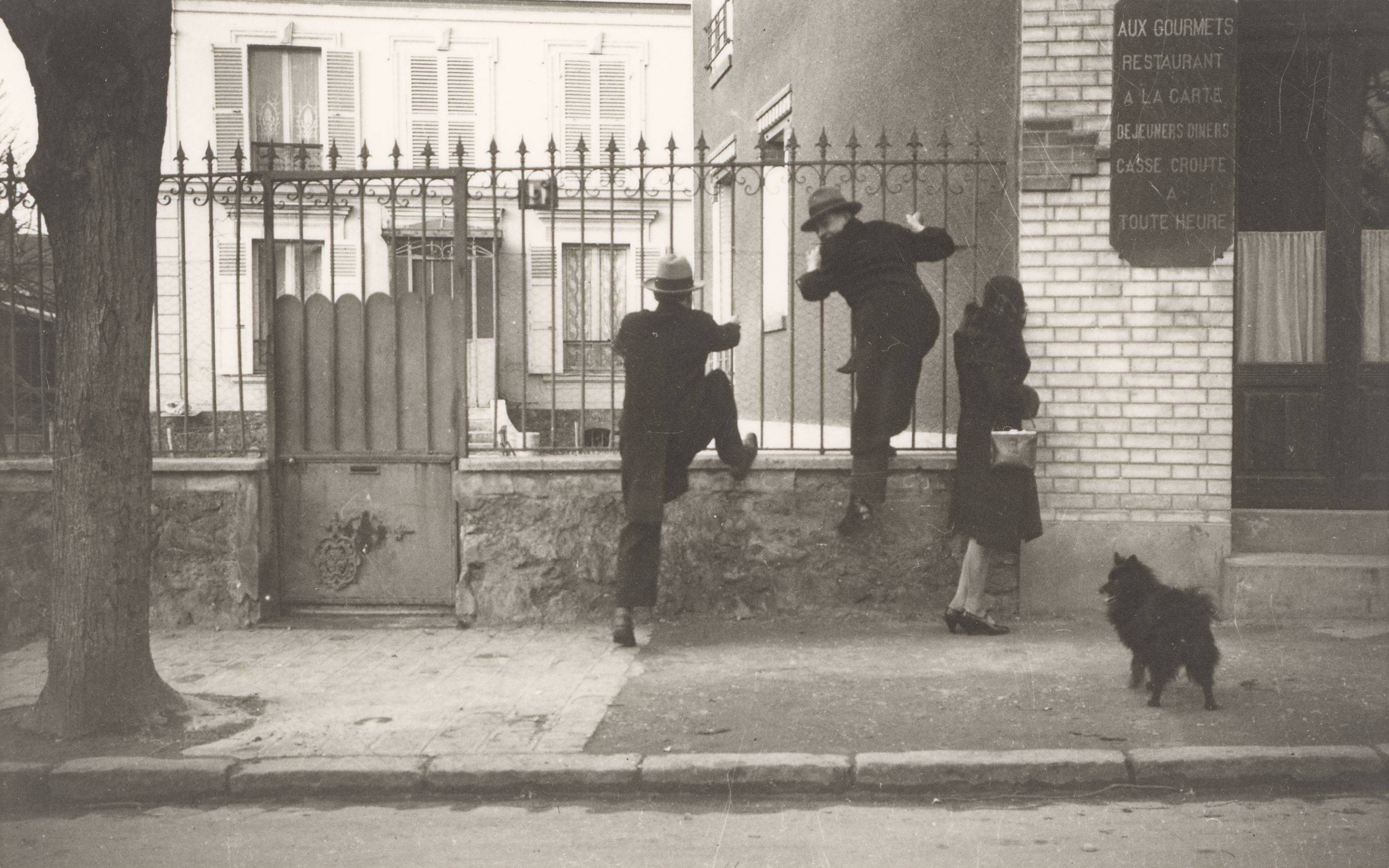 This picture shows the following artwork: René Magritte. La Fidélité des Images, 1928–1955.