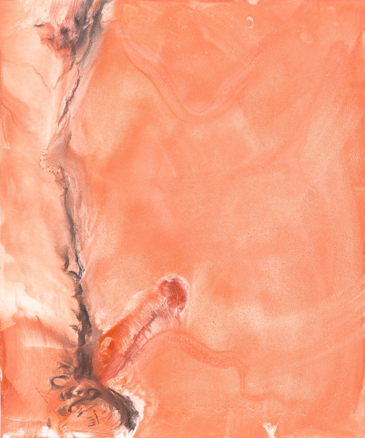 Auf diesem Bild ist das folgende Kunstwerk zu sehen:  Mappenwerk. „Printed Matter Photography Portfolio V: [Untitled/Nudes] Curated by Larry Clark“. 2004.