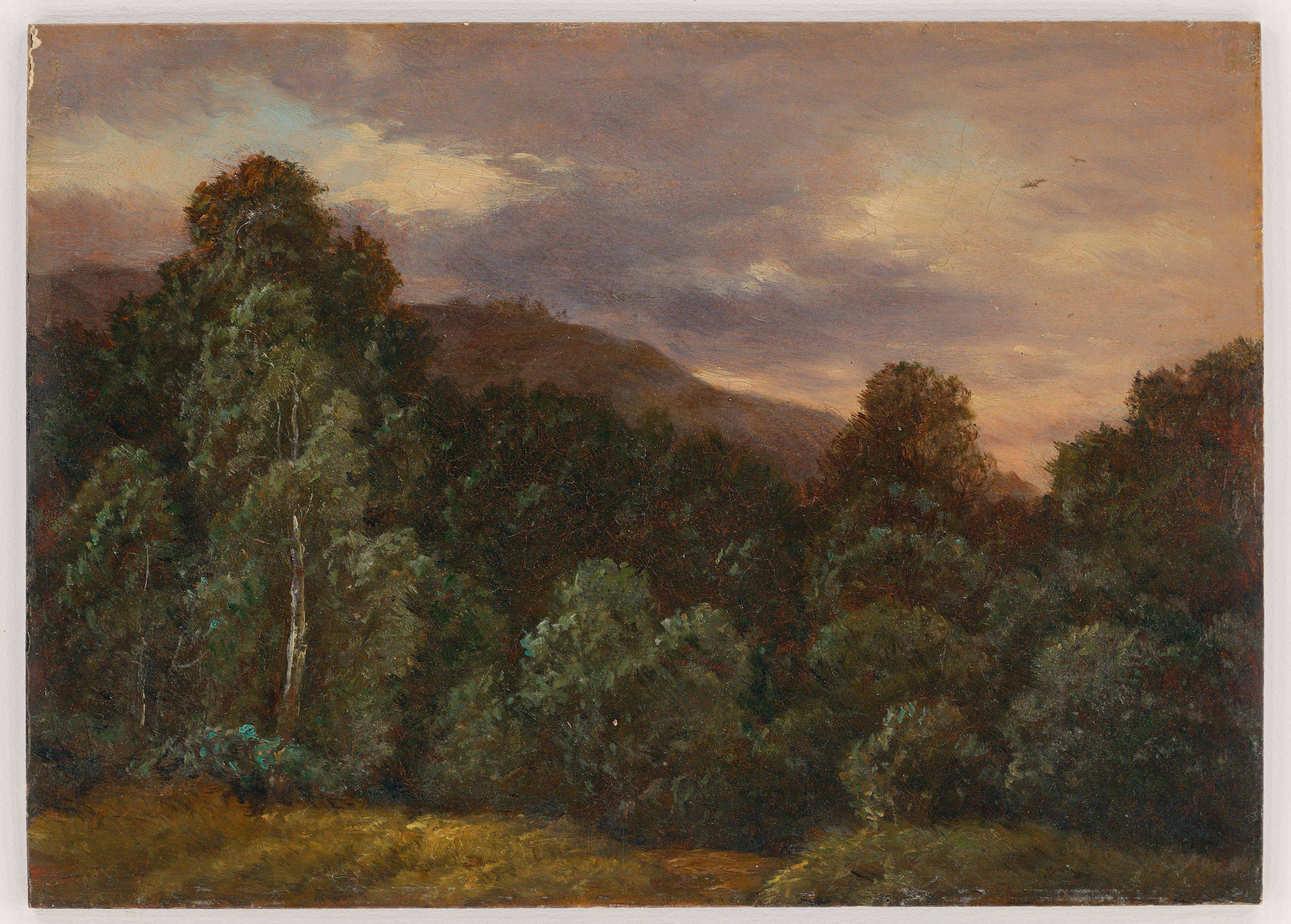This picture shows the following artwork: Carl Gustav Carus. ”Laubwald. Landschaft mit Vögeln und Bäumen”.