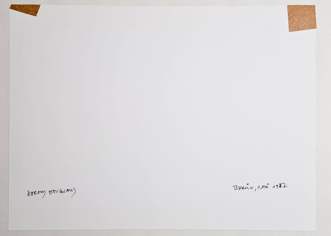 This picture shows the following artwork: Harald Hauswald. ”Berlin, 1. Mai”. 1987.