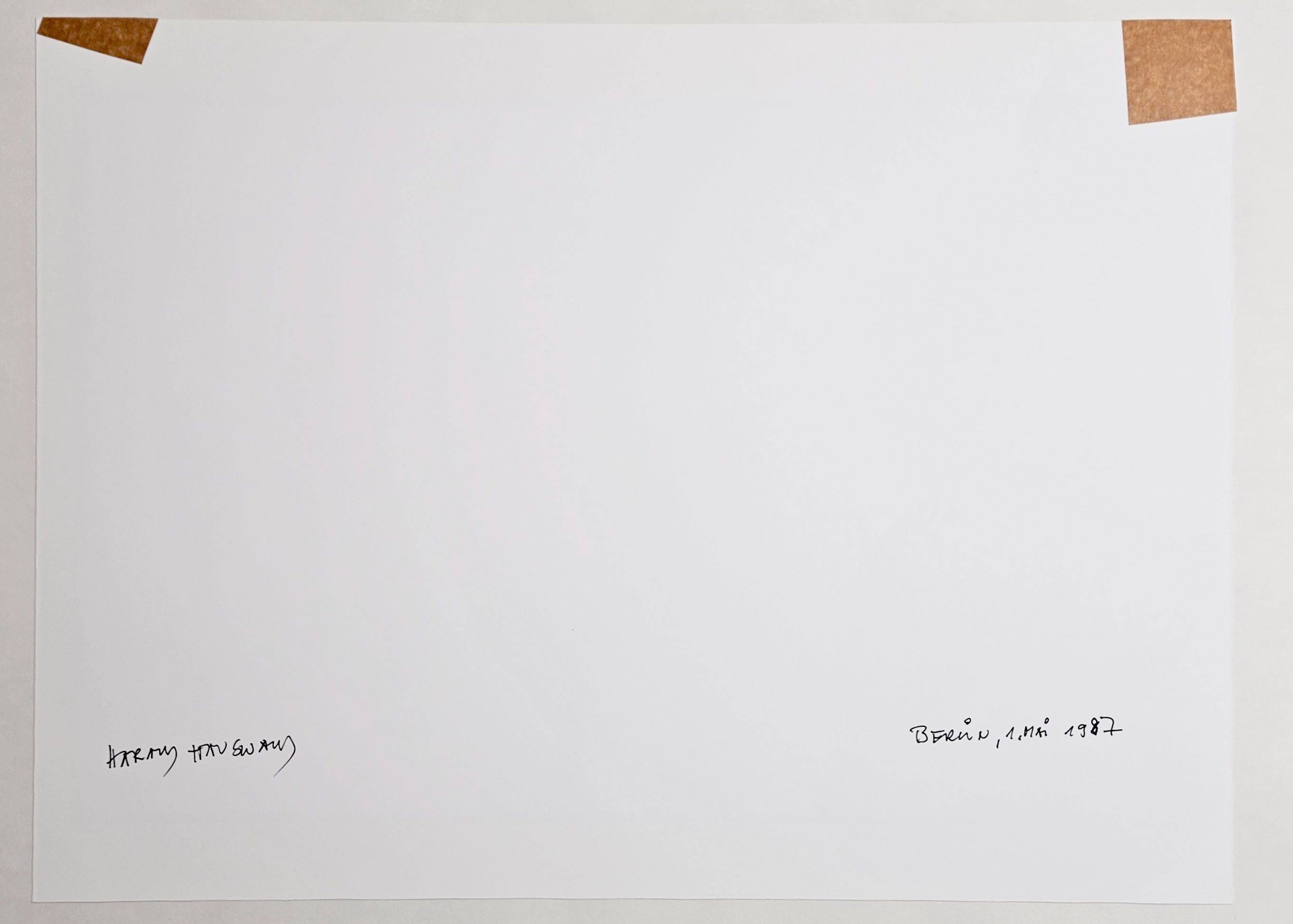 This picture shows the following artwork: Harald Hauswald. ”Berlin, 1. Mai”. 1987.